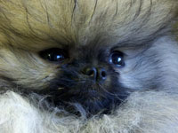 One of our favorite clients!