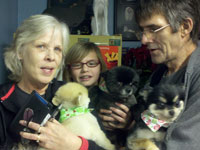 Some of my favorite clients, the Plaps with their wonderful Poms.